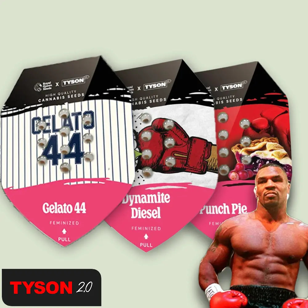 Royal Queen Seeds I 5-Pack Tyson Fem Bundle